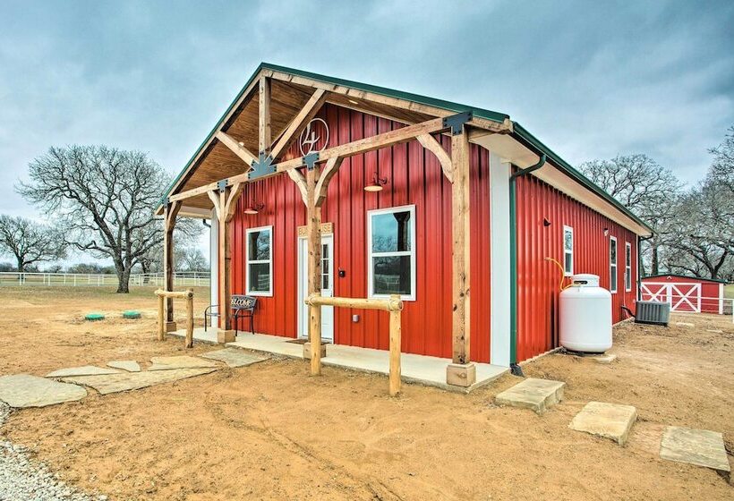 Dog Friendly Texas Ranch W/ Patio, Horses On Site