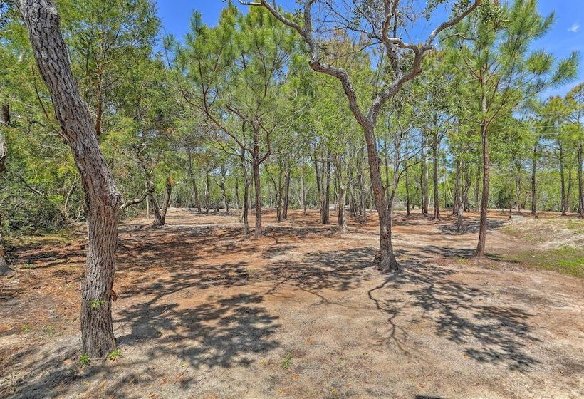 Outer Banks Island Cottage   1 Mi To Frisco Beach!