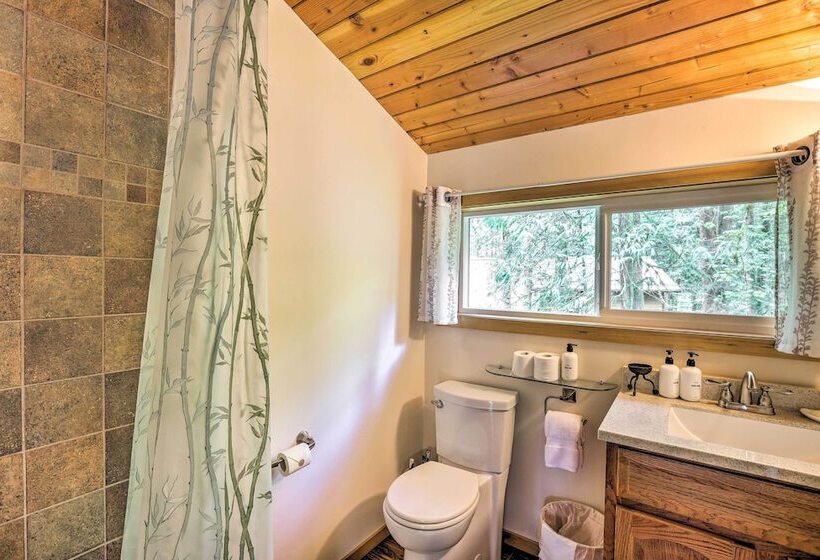 Peaceful Wooded Cabin By Mt. Baker Ski Area!