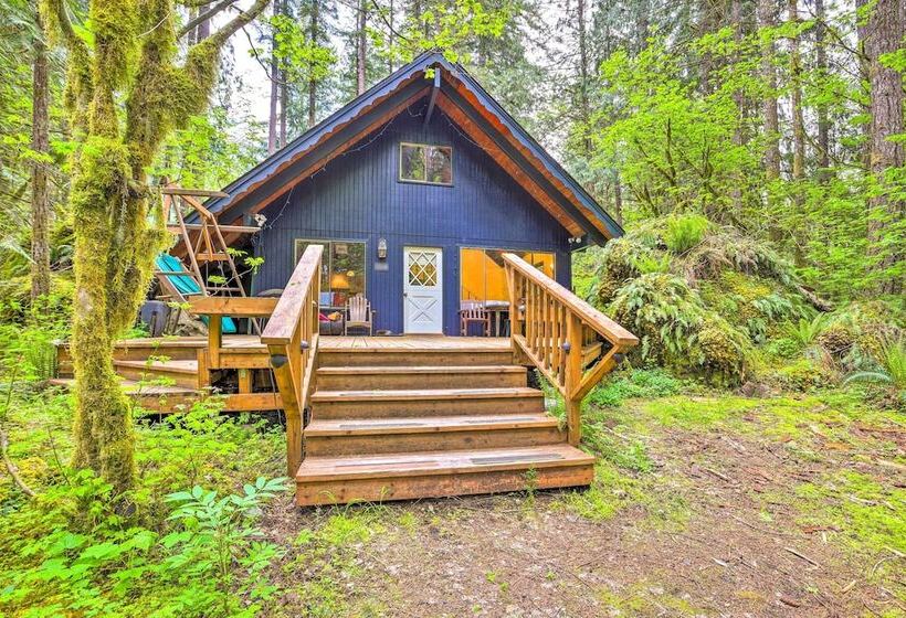 Peaceful Wooded Cabin By Mt. Baker Ski Area!