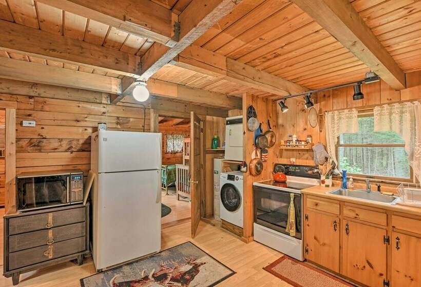 Petfriendly Cabin In The Forks W/ Fire Pit!