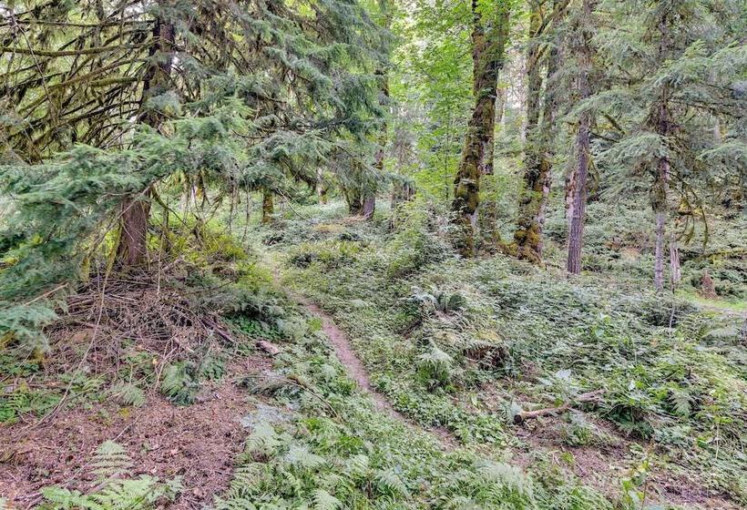 Rustic Cougar Cabin W/ Wood Burning Fire Pit!