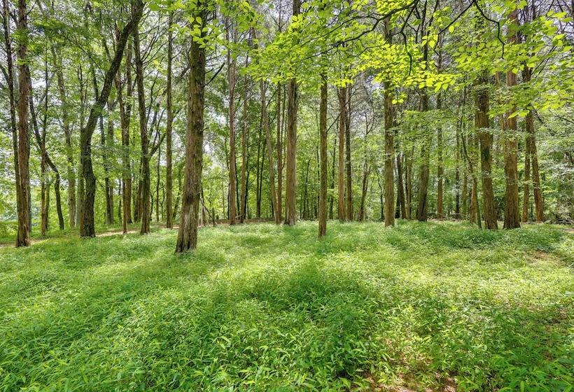 Serene Cabin W/ Riverfront Views & Access!