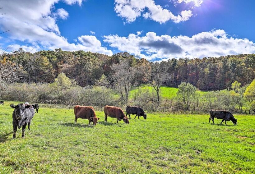 Stunning Fletcher Home: Hot Tub + Fire Pit!