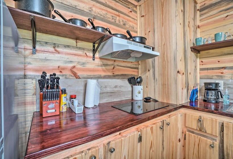Updated Studio Cabin In Ozark W/ Yard & Mtn View