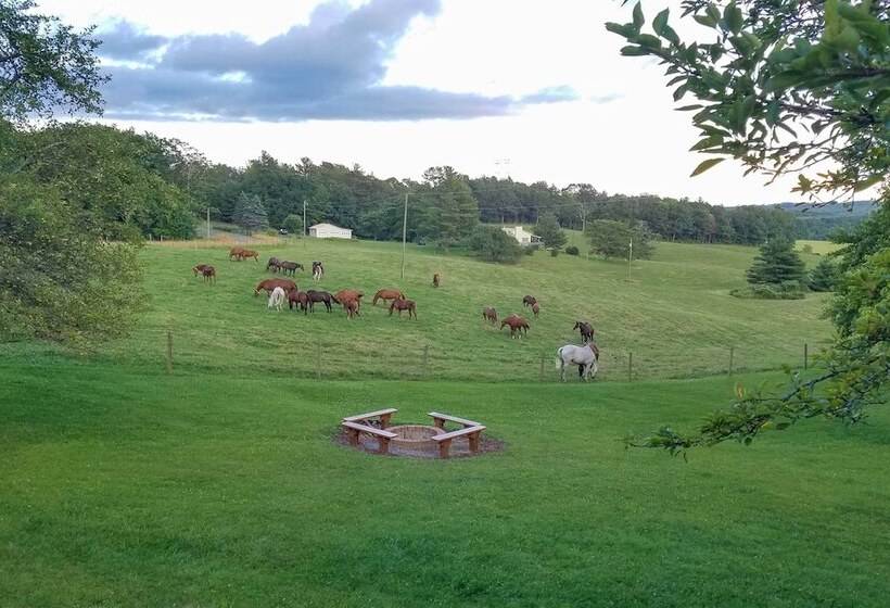 Blue Ridge Parkway House W/ Mountain Scenery!