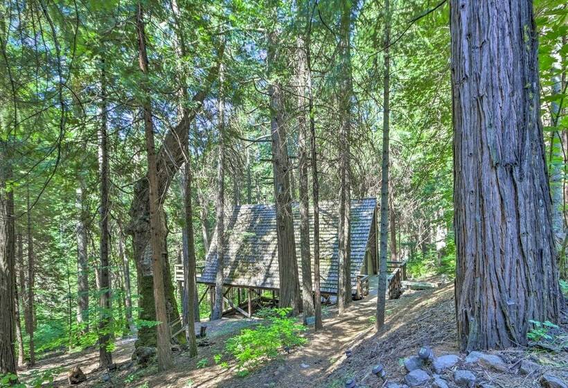 Charming Aframe Cabin ~ 4 Mi To Jenkinson Lake!