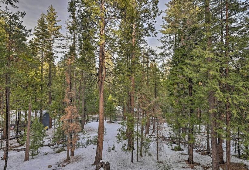 Cold Springs Mountain Cabin: Hot Tub & Generator