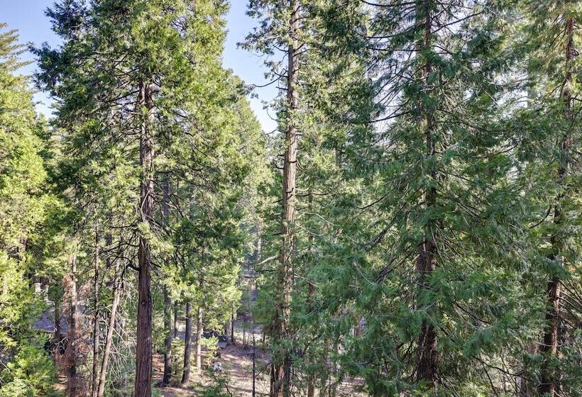 Cold Springs Mountain Cabin: Hot Tub & Generator