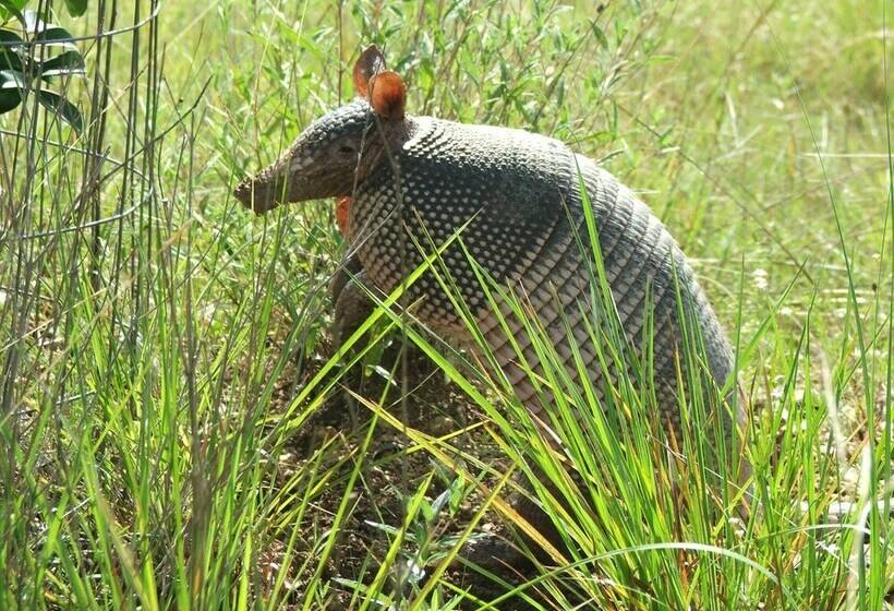 Utopia Family Home W/ Mountain Viewing Deck!