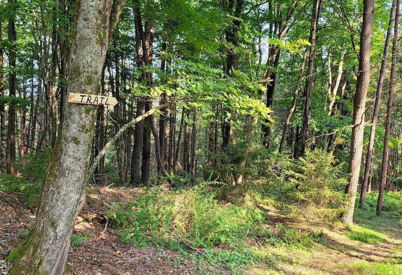 Hot Tub, Game Room: Greentown Home Near State Park