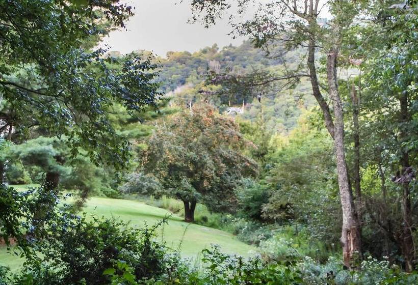 Hilltop Hideaway  Cabin W/ Porch + Fire Pit!