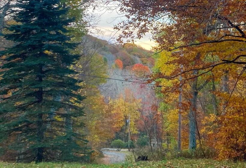 Mars Hill Cabin W/ Pool Table ~ 2 Mi To Wolf Ridge