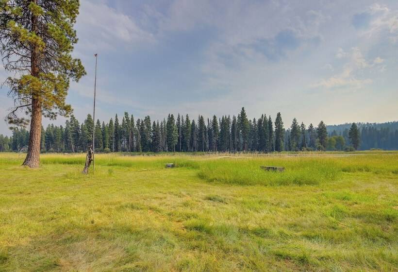 Hike, Bike & Boat: Cabin W/ Dock On Seeley Lake!