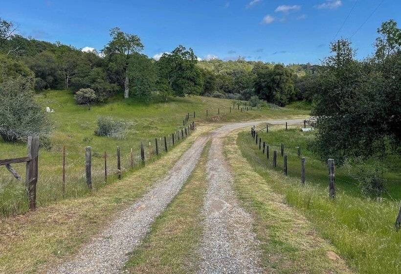 Serene Mariposa Sanctuary ~ 20 Mi To Yosemite