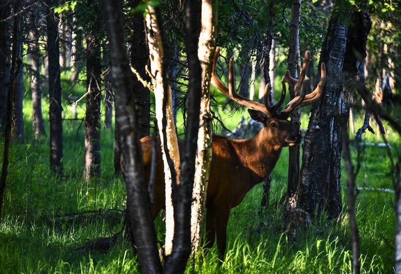Spacious & Private Home W/ Lazy Mountain View