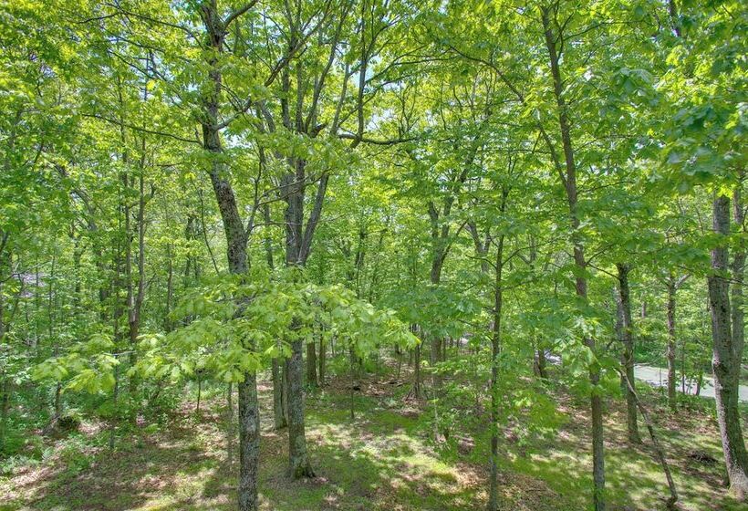 Wintergreen Resort Retreat W/ Hot Tub!