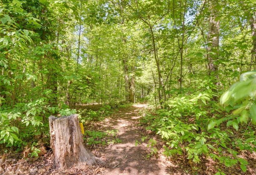 Woodsy Hayesville Home On Jackrabbit Trail!
