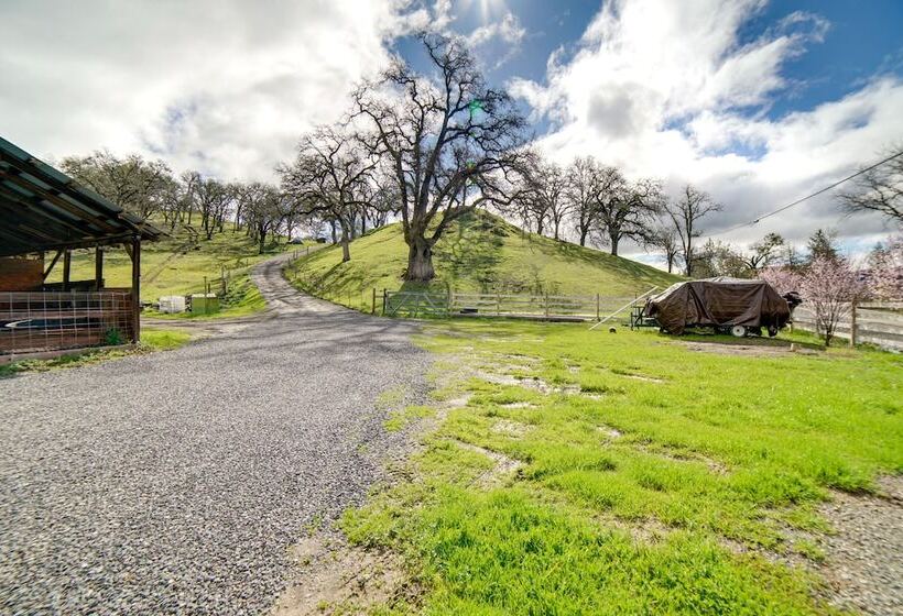30 Acre Witter Springs Ranch W/ Barn & Views!