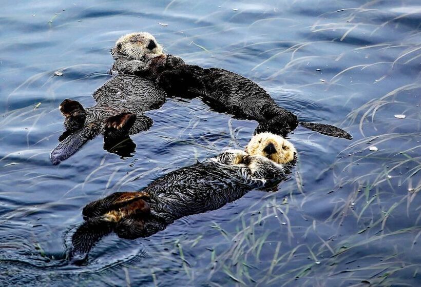 Arroyo Grande Home 3 Mi To Golf Course & Wineries!