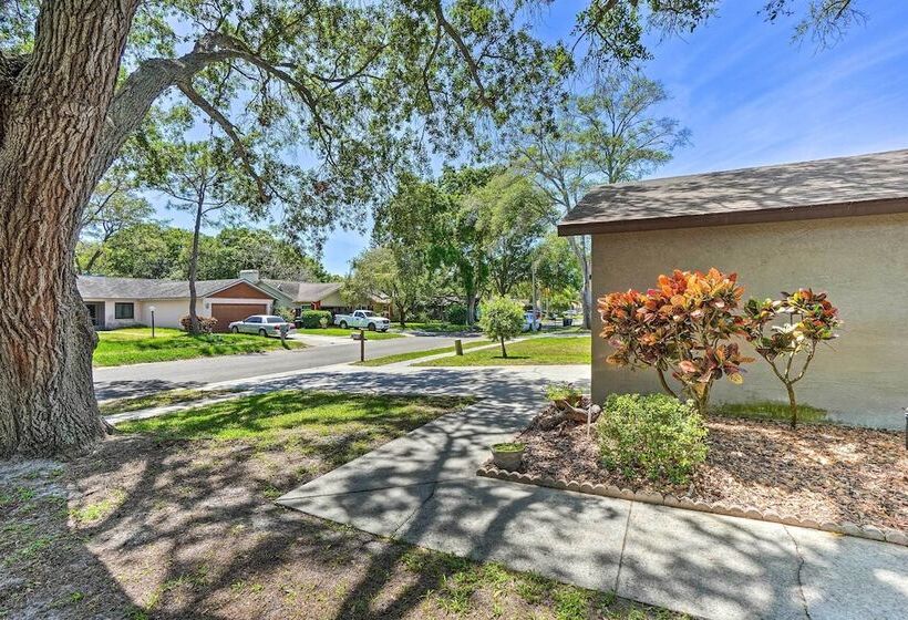 Clearwater Family Home W/ Private Hot Tub!