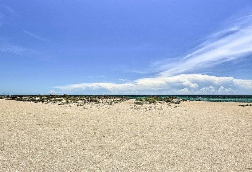 Elegant Venice Home W/ View   Walk To Beach!