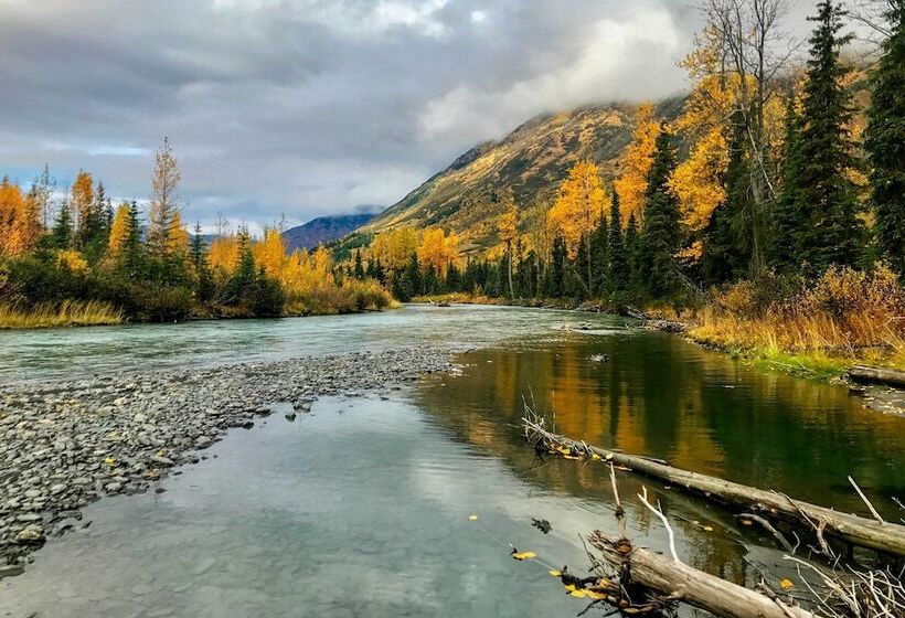 Family Cabin: Explore Alaska S Favorite Playground