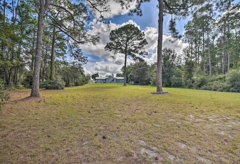 Deltona Lake House, Day Trip To Disney & Universal