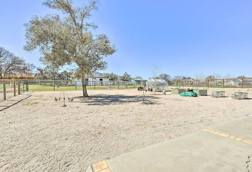 Newly Updated, Dog Friendly Peakview House!