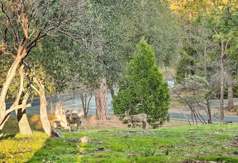 Lakeside Groveland Home W/ Hot Tub, Near Yosemite