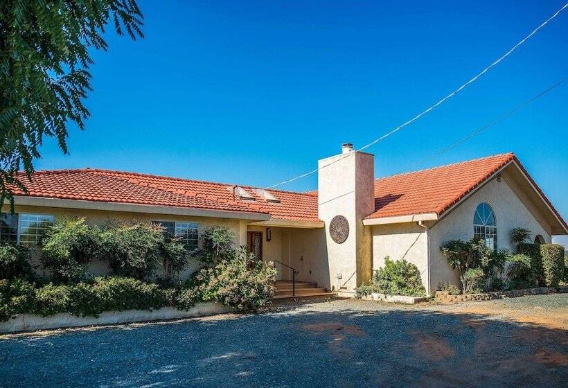 Working Vineyard & Private Pool: Villa In Plymouth