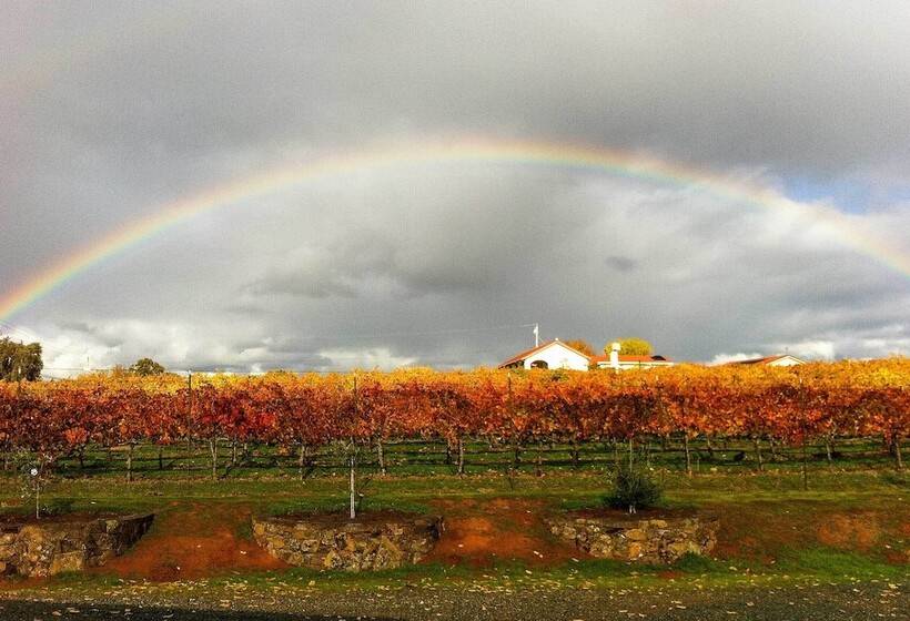 Working Vineyard & Private Pool: Villa In Plymouth