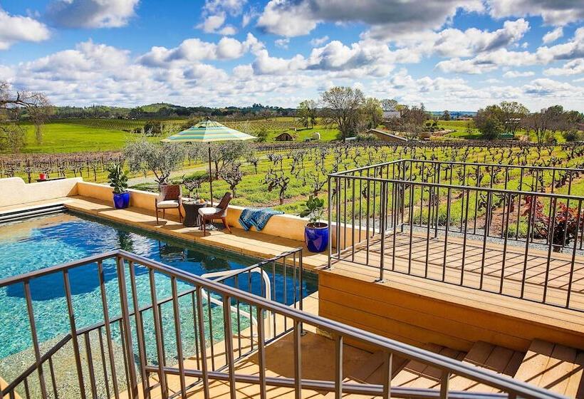 Working Vineyard & Private Pool: Villa In Plymouth