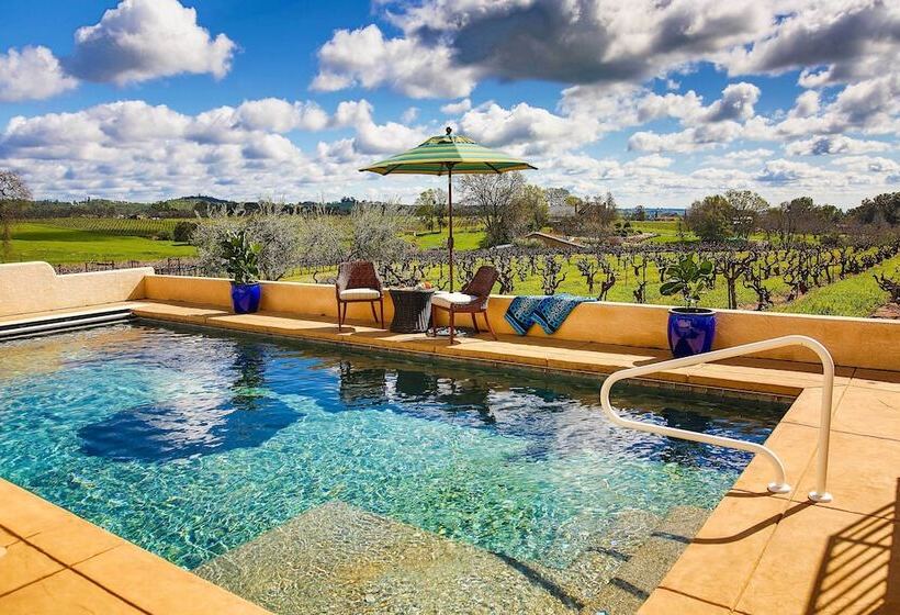 Working Vineyard & Private Pool: Villa In Plymouth