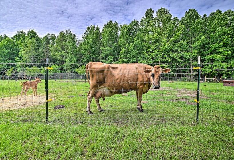 Stunning Sumter Home On Active 330 Acre Farm!