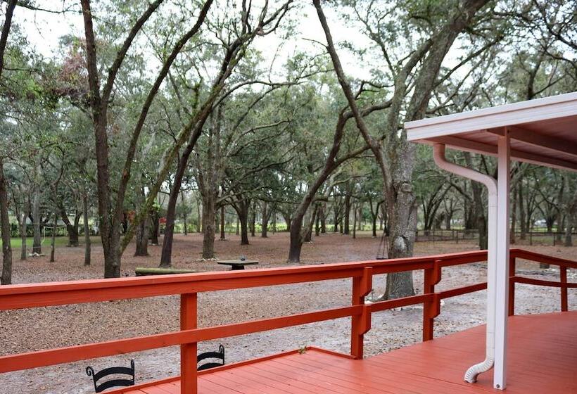 Valrico Retreat W/ Fire Pit ~ 18 Mi To Tampa!