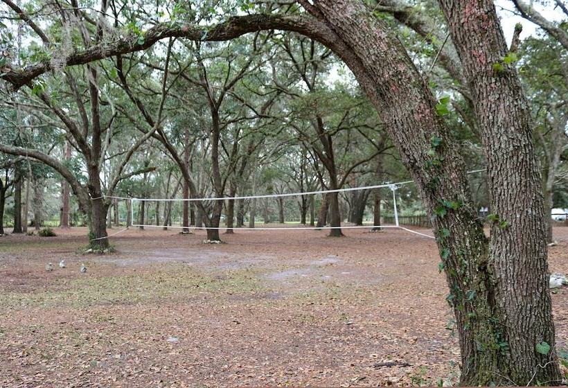 Valrico Retreat W/ Fire Pit ~ 18 Mi To Tampa!