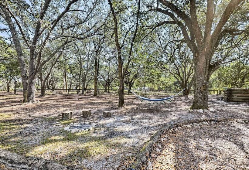 Valrico Retreat W/ Fire Pit ~ 18 Mi To Tampa!