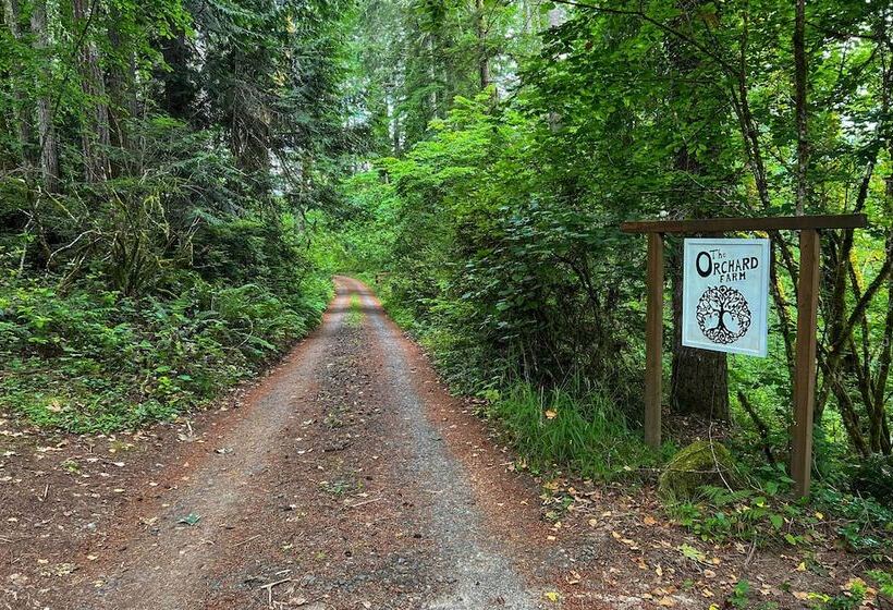 100 Year Old Farmhouse W/ Hot Tub On 5 Acres!