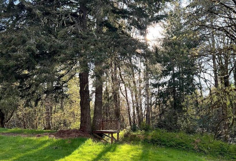 100 Year Old Farmhouse W/ Hot Tub On 5 Acres!