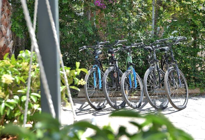 Alekos Luxury Suites Free 24h Transportation From   To Airport