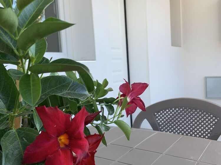 Aragon Cottage Appartament