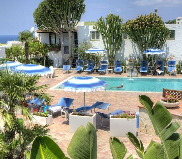 Room In B&b   Ischia Forio Above The Poseidon Gardens, 3 People N5472