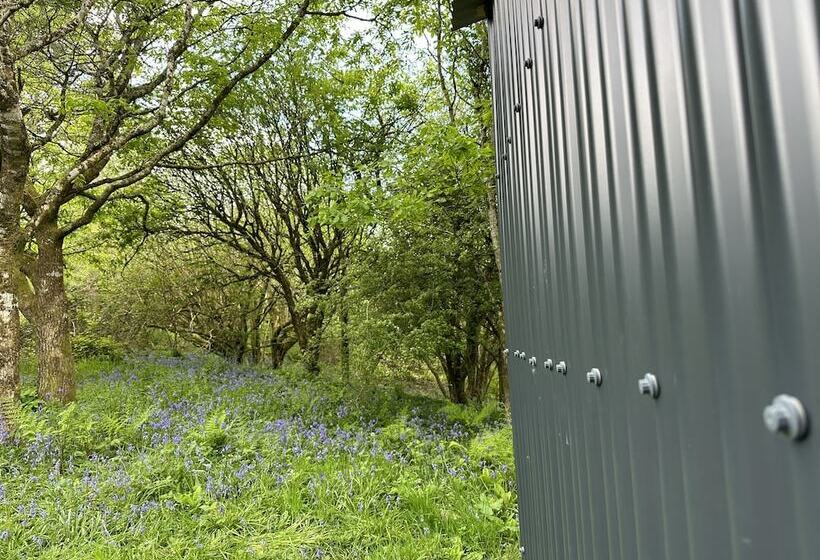 Cornwall Woodland Dog Friendly Shepherd S Hut
