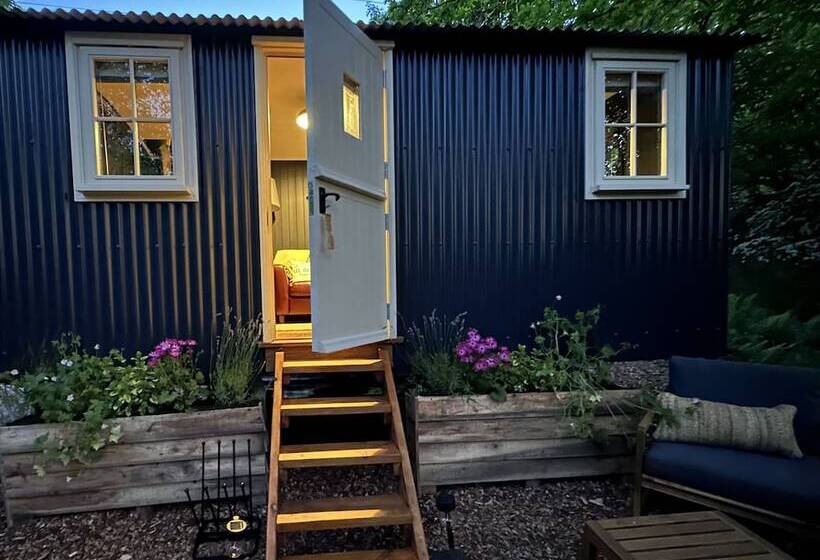 Cornwall Woodland Dog Friendly Shepherd S Hut