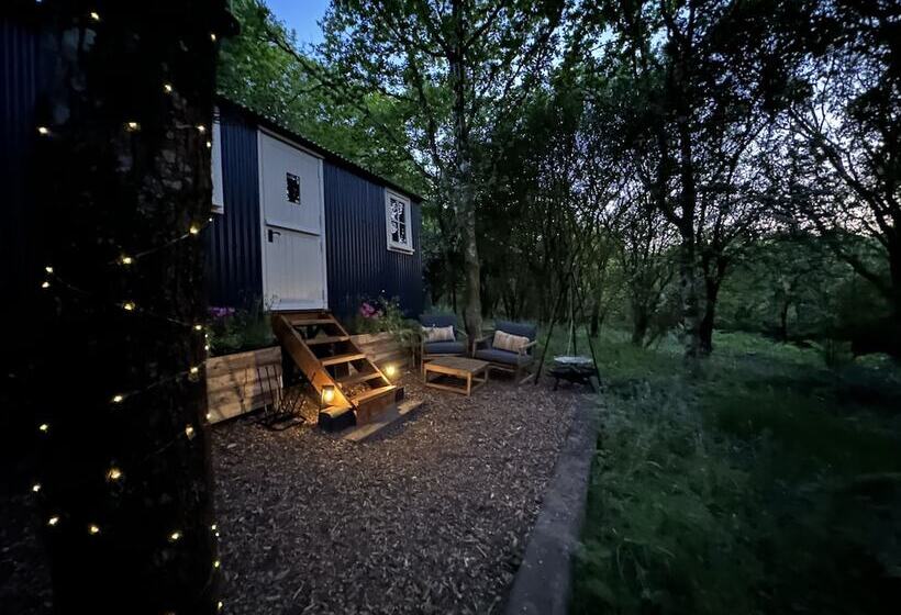 Cornwall Woodland Dog Friendly Shepherd S Hut