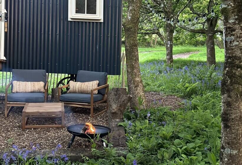 Cornwall Woodland Dog Friendly Shepherd S Hut