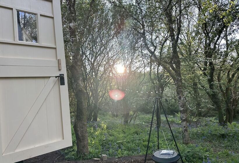 Cornwall Woodland Dog Friendly Shepherd S Hut