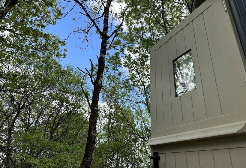Cornwall Woodland Dog Friendly Shepherd S Hut
