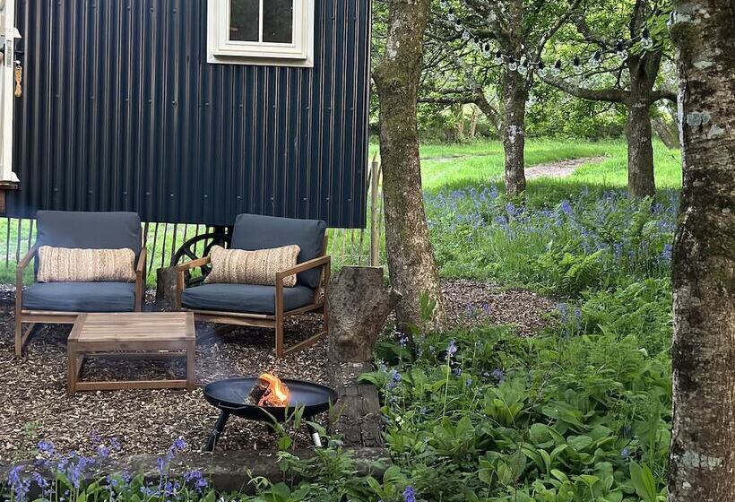 Cornwall Woodland Dog Friendly Shepherd S Hut